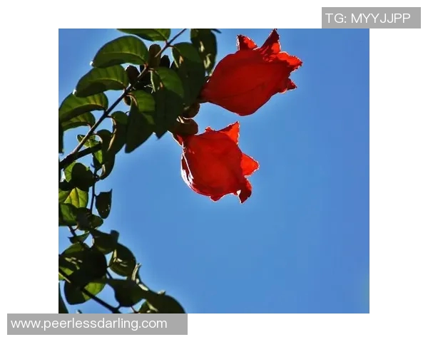 范弗里特：赚5000万不一定开心 钱到了一定数量它就只是个数字